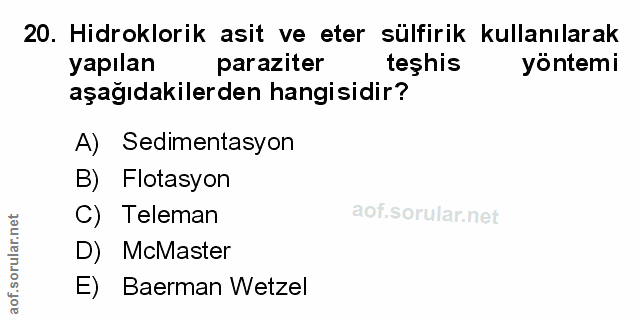 Soru 20