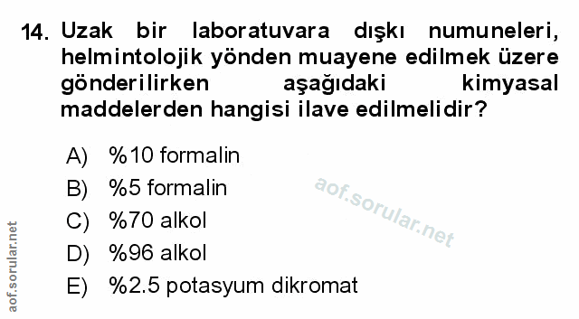 Soru 14