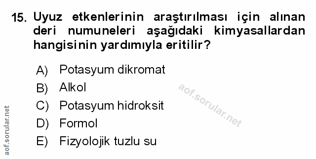 Soru 15