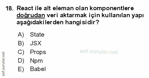 Soru 18