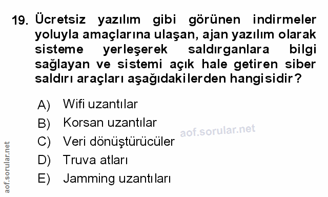 Soru 19