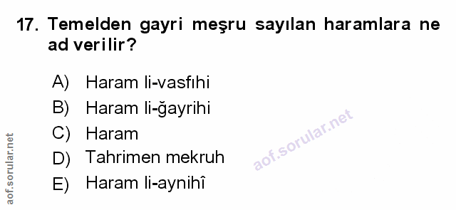 Soru 17