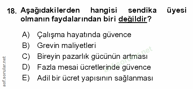 Soru 18