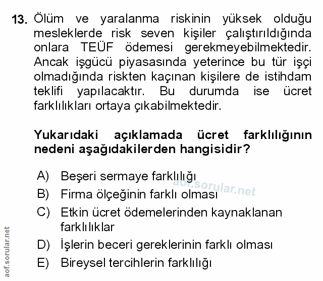 Soru 13