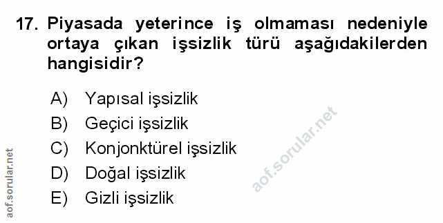 Soru 17
