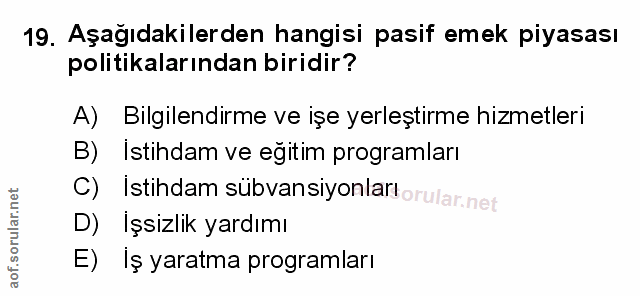 Soru 19