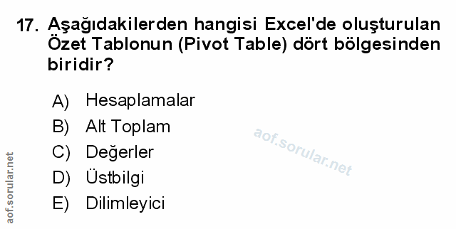 Soru 17