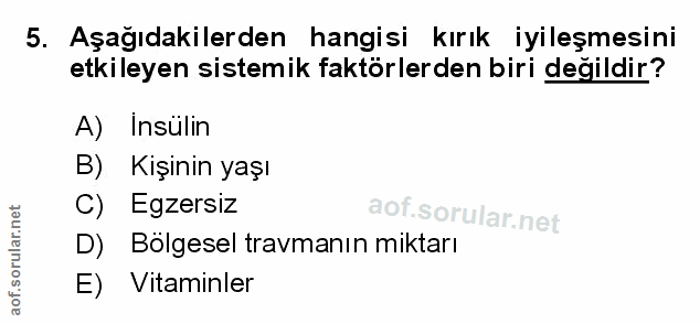 Soru 5