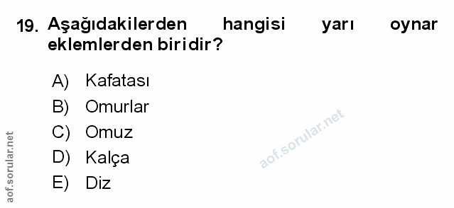 Soru 19