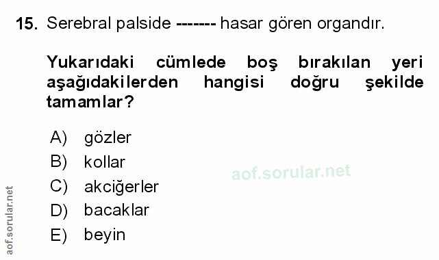 Soru 15