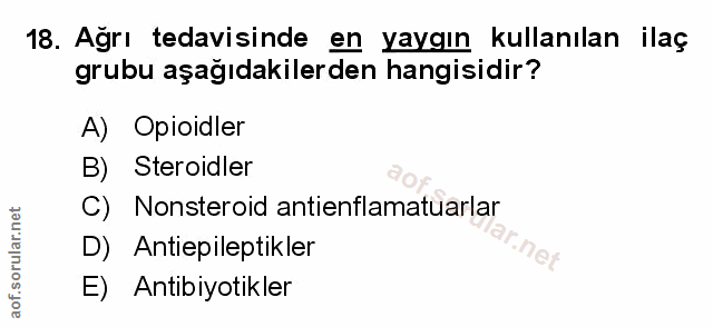 Soru 18