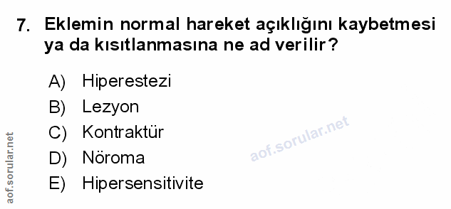 Soru 7
