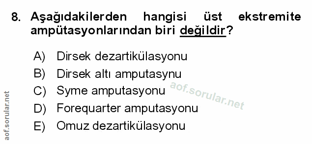 Soru 8