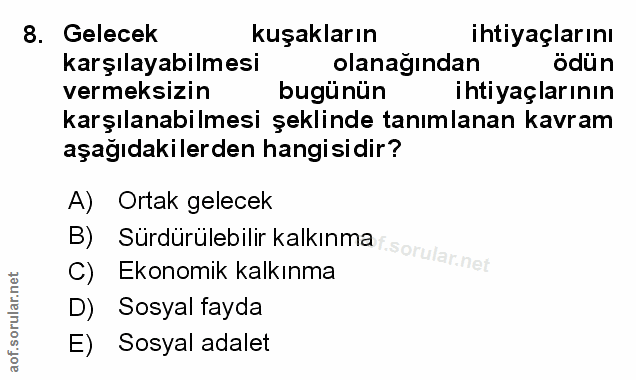 Soru 8