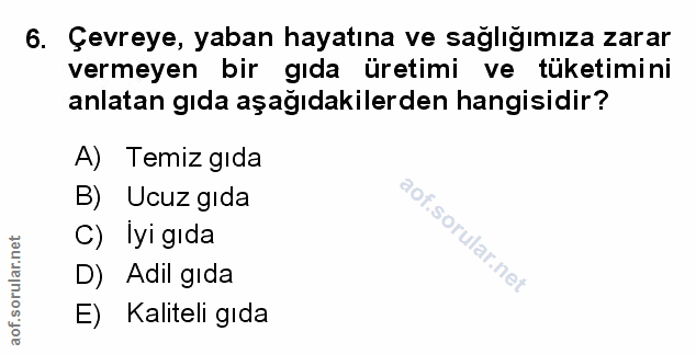 Soru 6