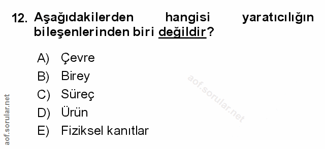 Soru 12