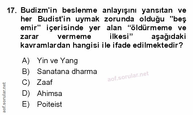 Soru 17