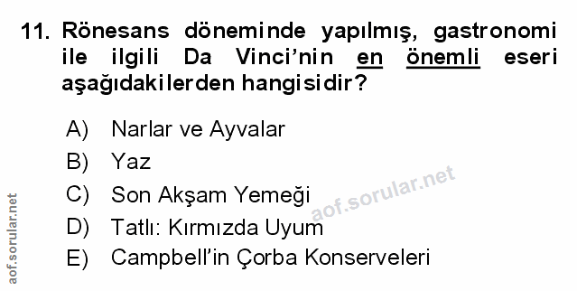 Soru 11