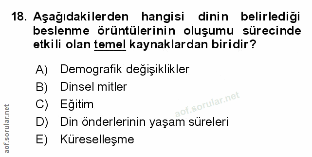 Soru 18