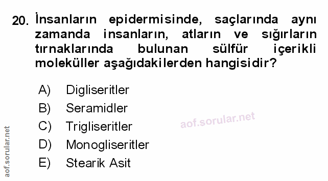 Soru 20