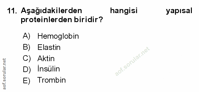 Soru 11