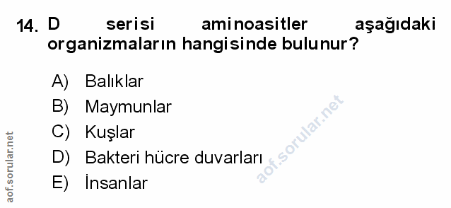 Soru 14