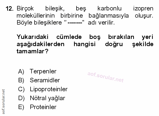 Soru 12