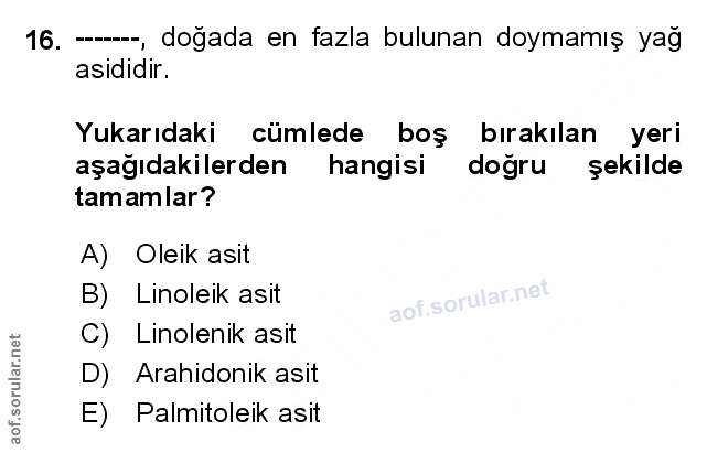 Soru 16