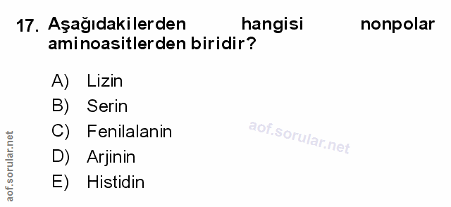 Soru 17