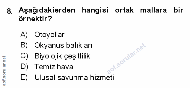 Soru 8
