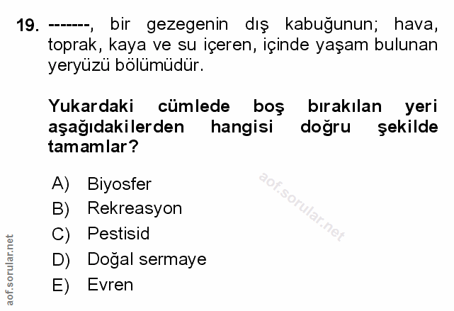 Soru 19