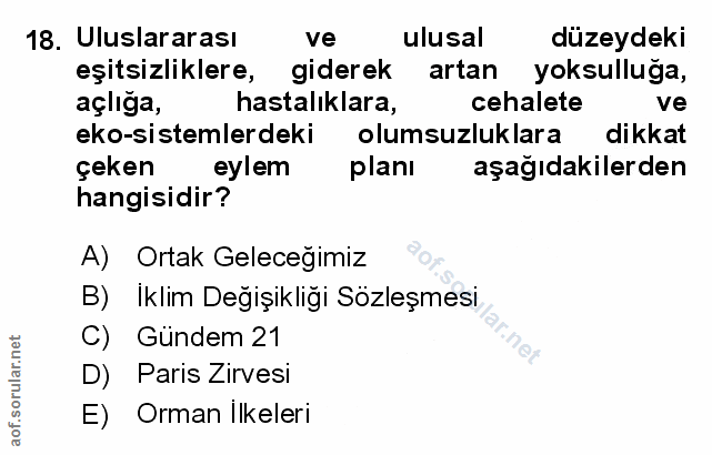 Soru 18
