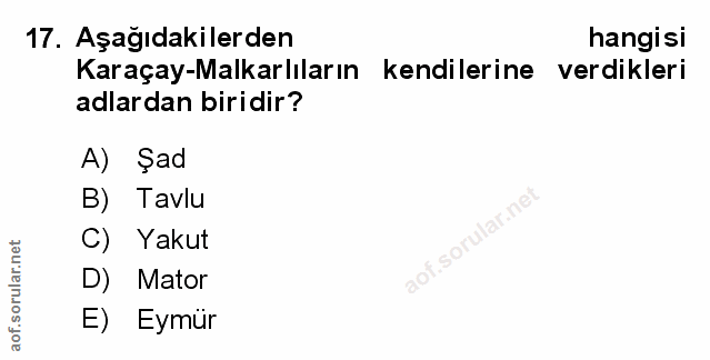 Soru 17