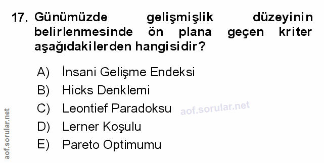 Soru 17
