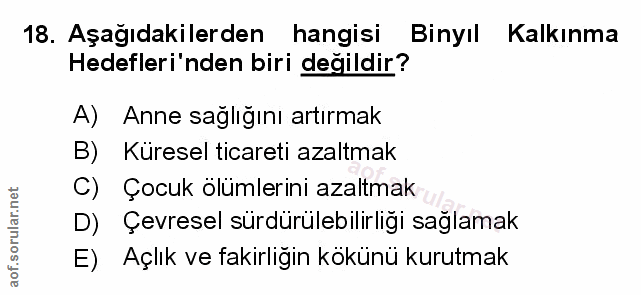 Soru 18