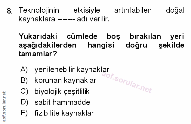 Soru 8