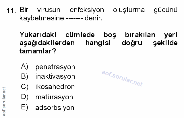 Soru 11