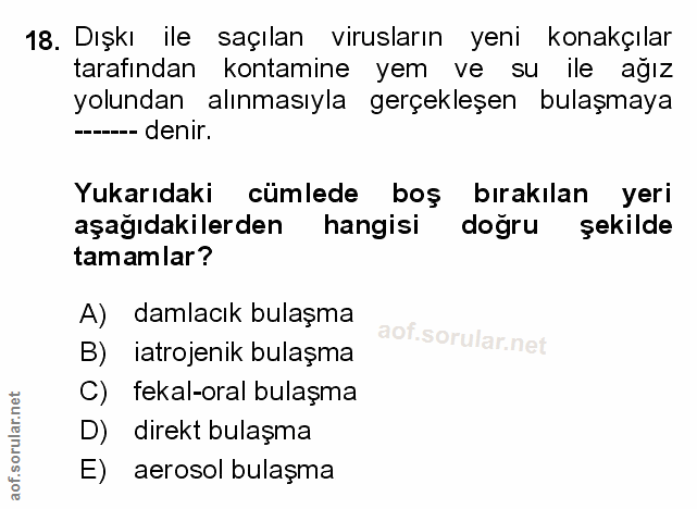 Soru 18
