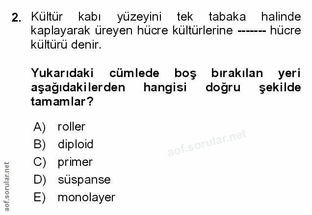 Soru 2