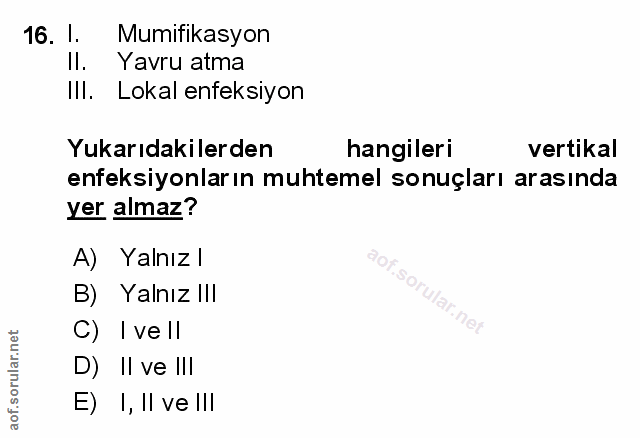 Soru 16