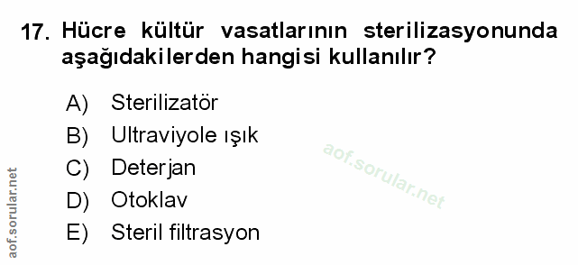 Soru 17