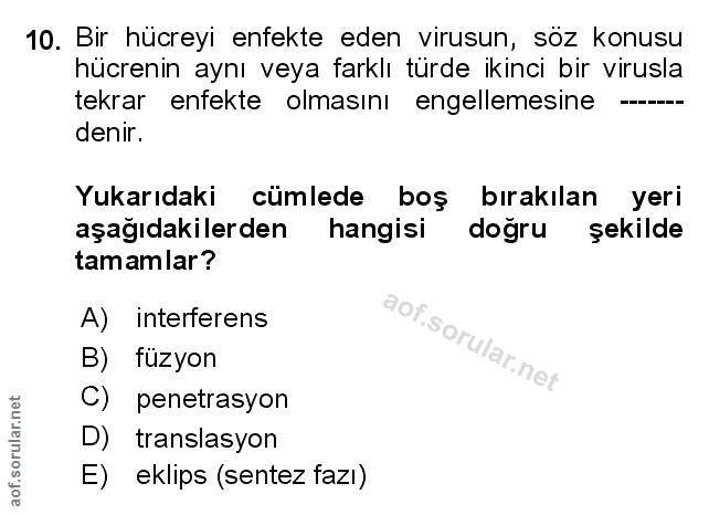 Soru 10