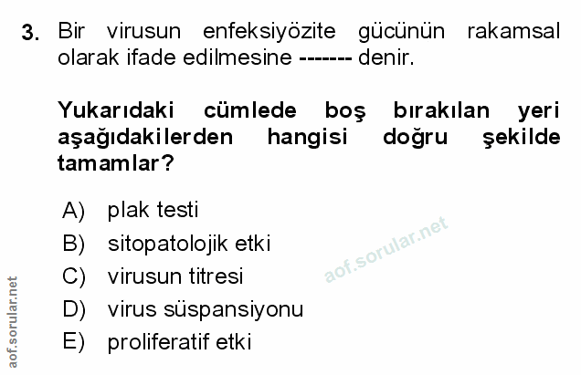 Soru 3
