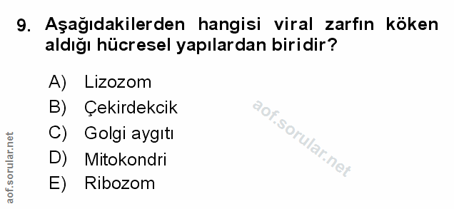 Soru 9
