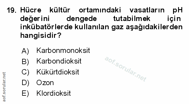 Soru 19
