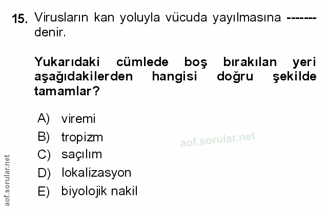 Soru 15