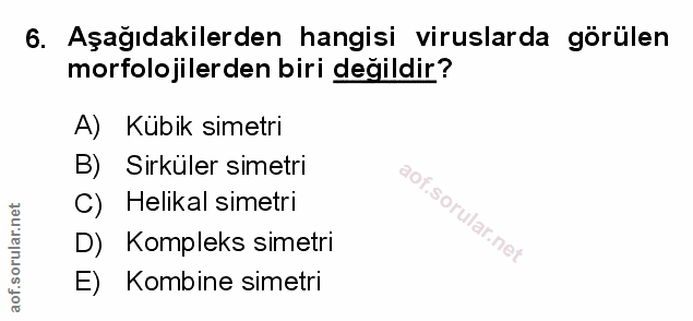 Soru 6