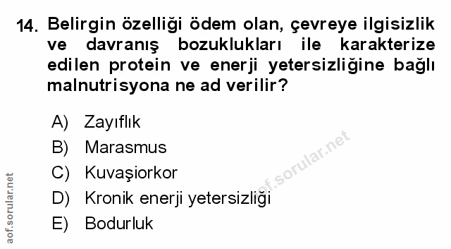 Soru 14
