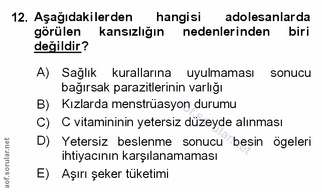 Soru 12