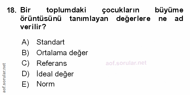 Soru 18